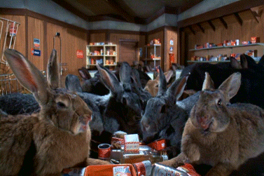 http://www.onlygoodmovies.com/images/content/night-of-the-lepus.gif